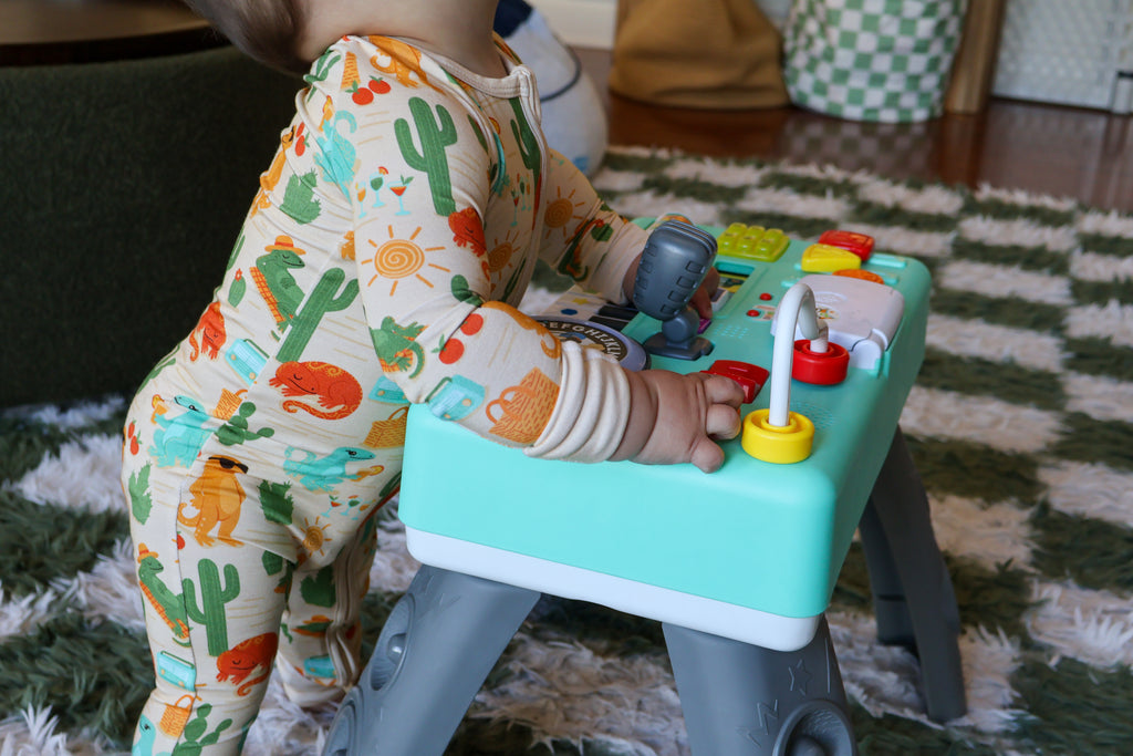 Desert Daydream Zippy