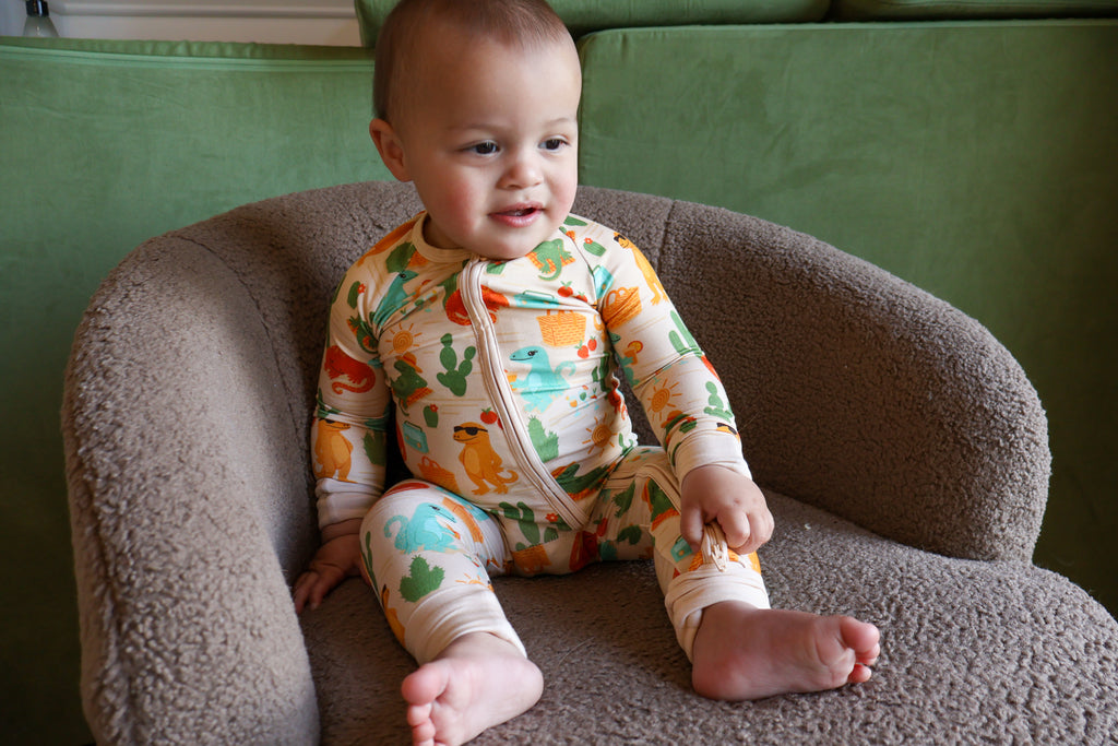 Desert Daydream Zippy