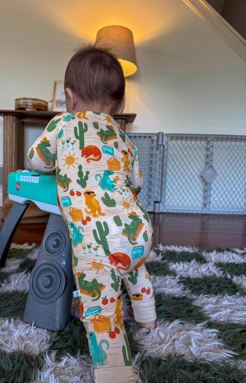 Desert Daydream Zippy