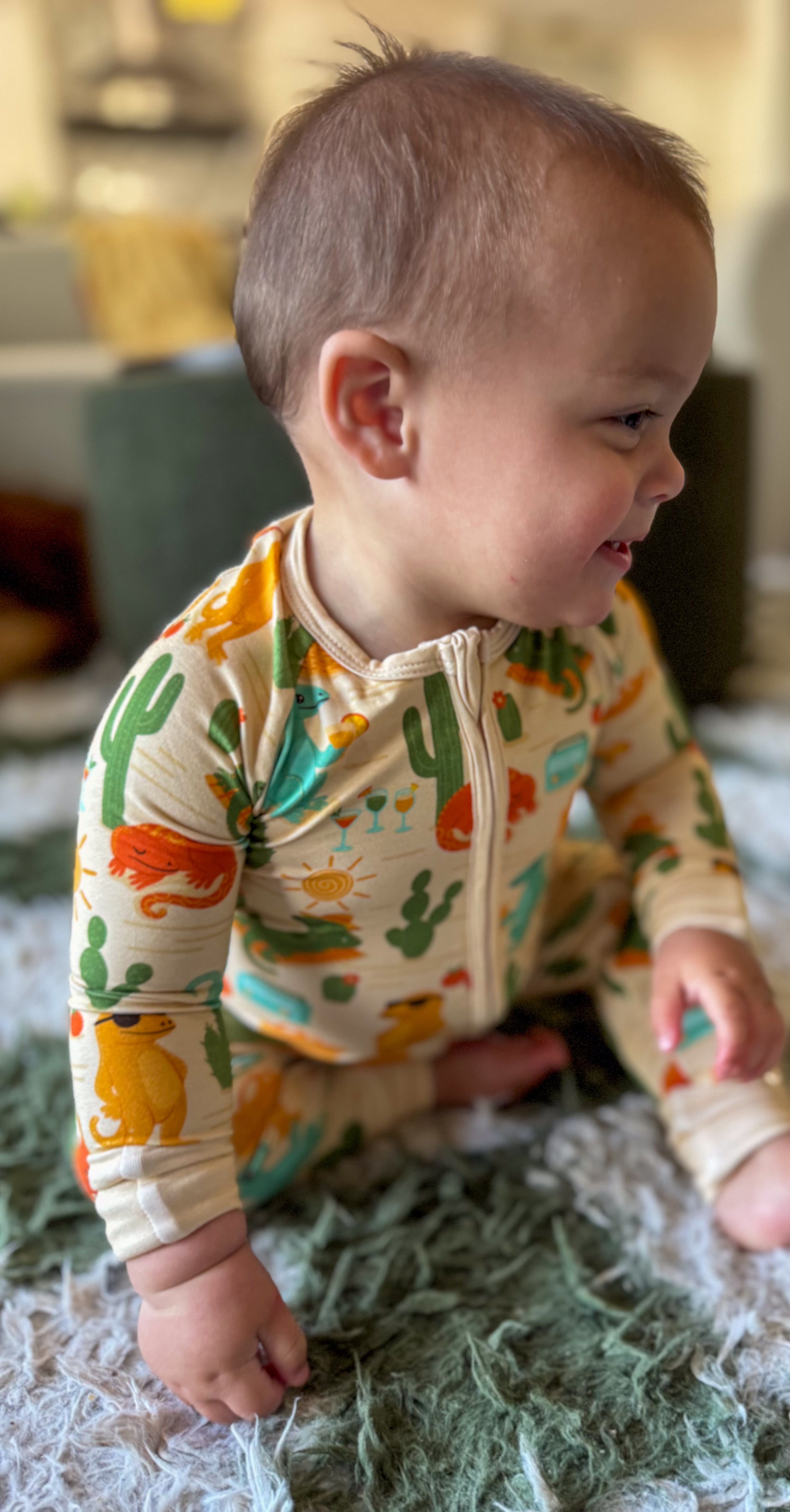 Desert Daydream Zippy