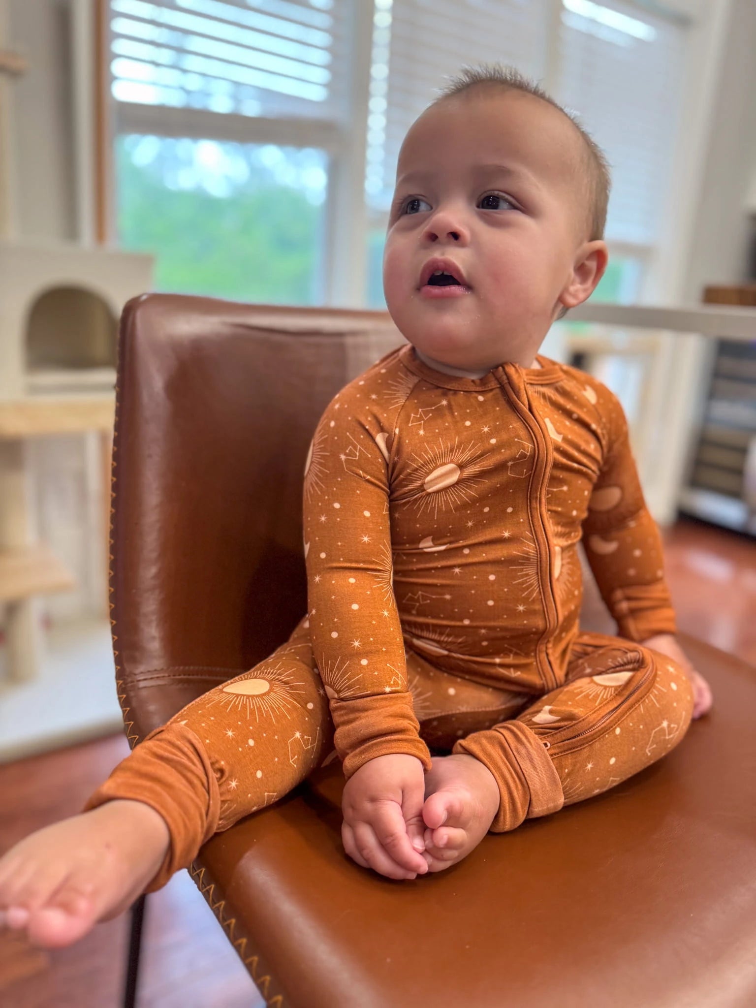 Starlight Dreams Zippy